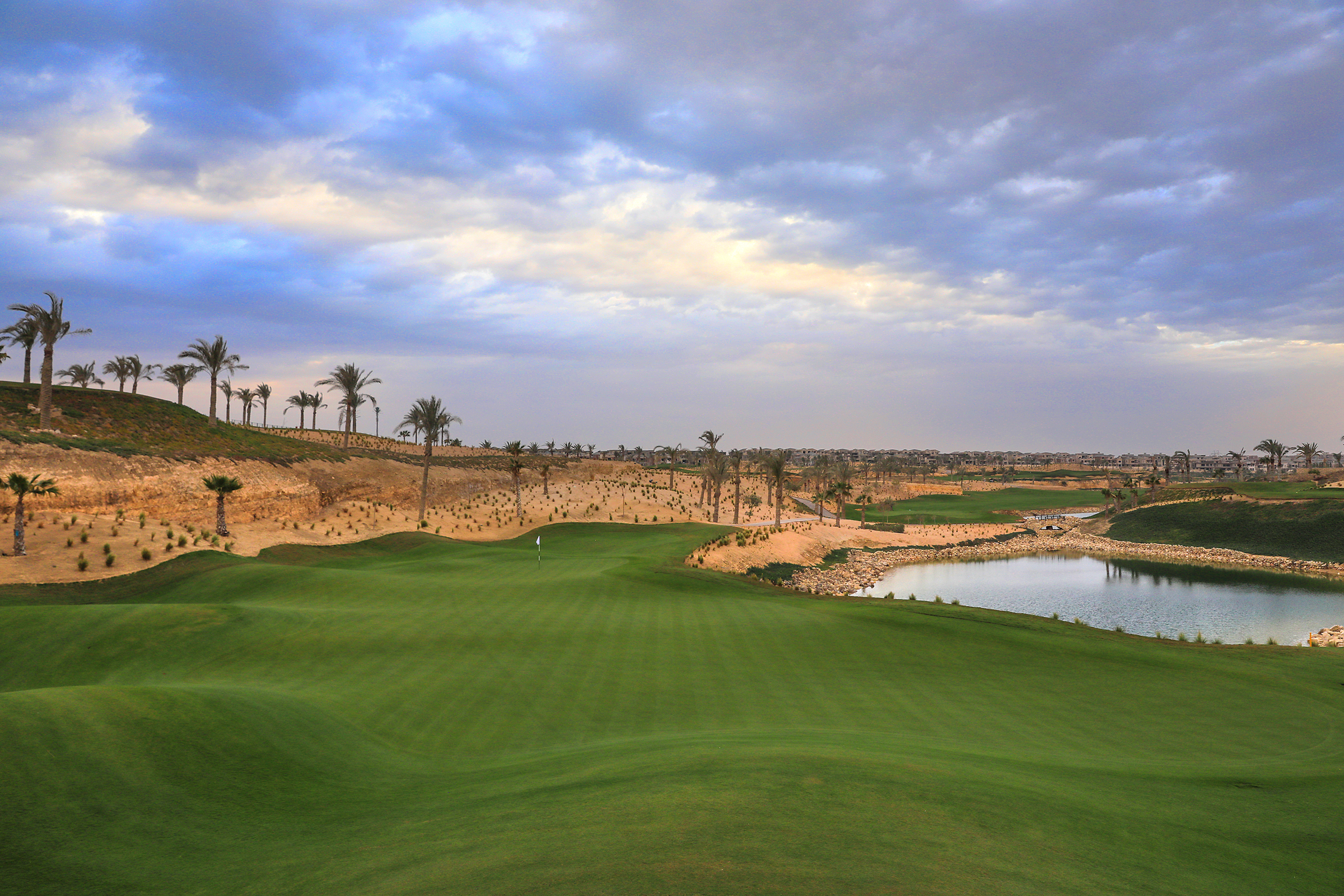 Vibrant golf course using Platinum Paspalum TE turfgrass. Atlas Turf Arabia is the first IGAP certified turf farm in Saudi Arabia. We produce sustainable turfgrass that is heat tolerant, thrives with TSE irrigation, and is durable for steady play. Our Paspalum turfgrass is suitable for golf, football, landscaping and infrastructure and has been used on multiple worldwide golf courses as well as the pitch for the World Cup in Qatar.