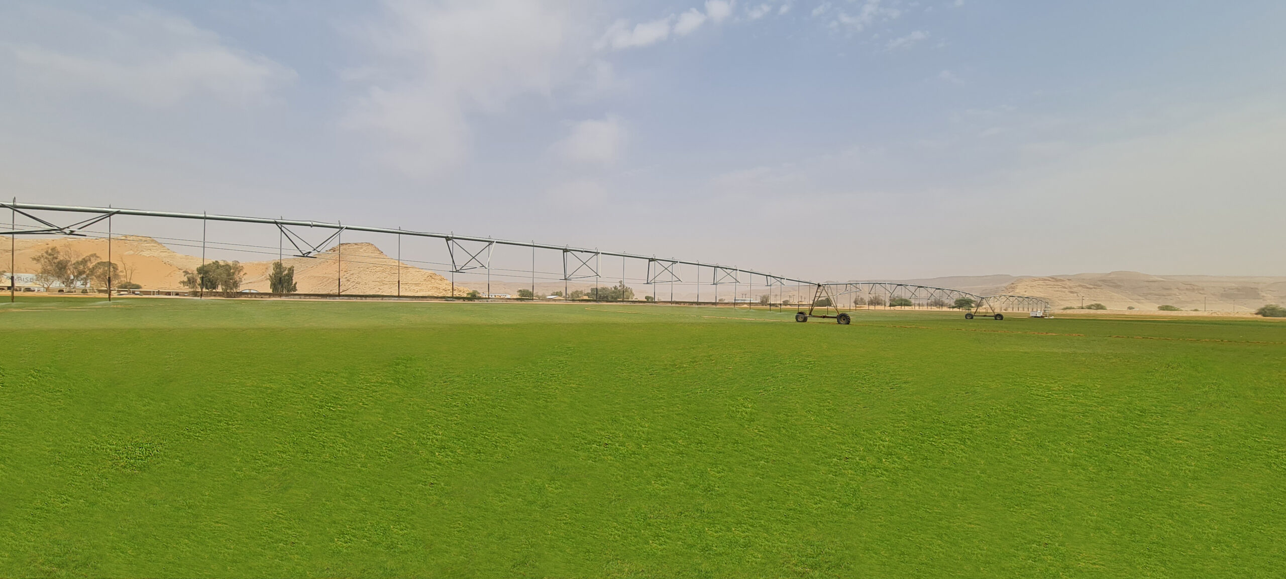 Atlas Turf Arabia Turf Farm. Atlas Turf Arabia is the first IGAP certified turf farm in Saudi Arabia. We produce sustainable turfgrass that is heat tolerant, thrives with TSE irrigation, and is durable for steady play. Our Paspalum turfgrass is suitable for golf, football, landscaping and infrastructure and has been used on multiple worldwide golf courses as well as the pitch for the World Cup in Qatar.